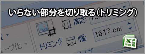 Excel 07で画像のいらない部分を切り取る トリミング Dtpサポート情報